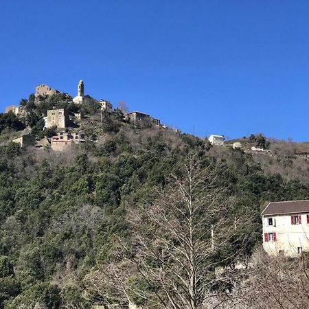 Camping L'Agrottu Au Coeur De La Corse Hotell Santa-Lucia-di-Mercurio Exteriör bild