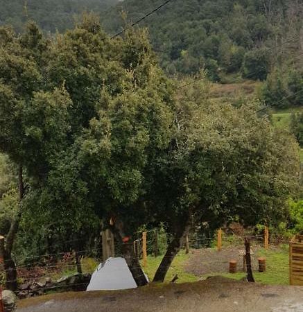 Camping L'Agrottu Au Coeur De La Corse Hotell Santa-Lucia-di-Mercurio Exteriör bild