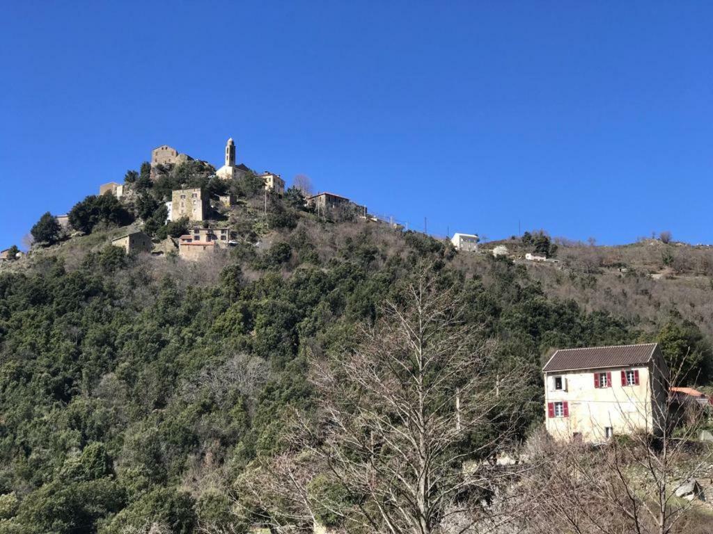 Camping L'Agrottu Au Coeur De La Corse Hotell Santa-Lucia-di-Mercurio Exteriör bild