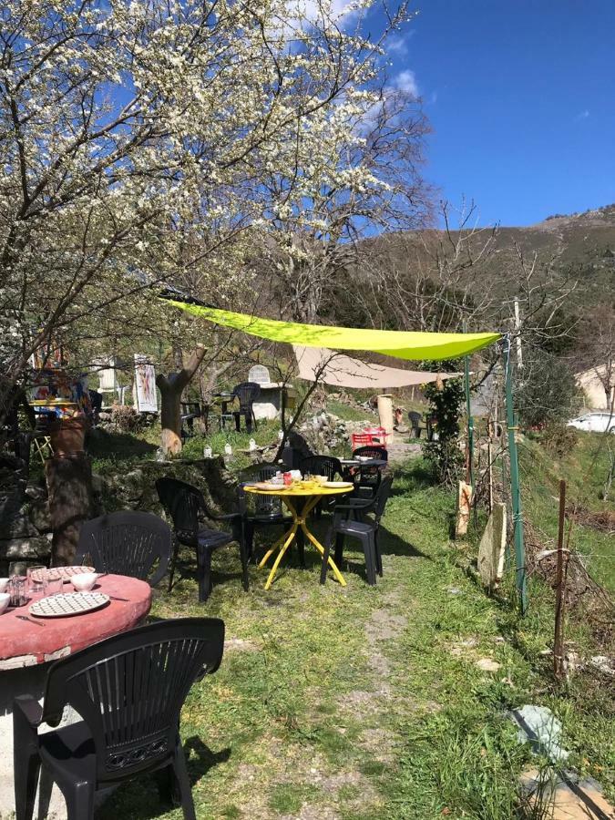 Camping L'Agrottu Au Coeur De La Corse Hotell Santa-Lucia-di-Mercurio Exteriör bild