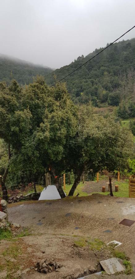 Camping L'Agrottu Au Coeur De La Corse Hotell Santa-Lucia-di-Mercurio Exteriör bild