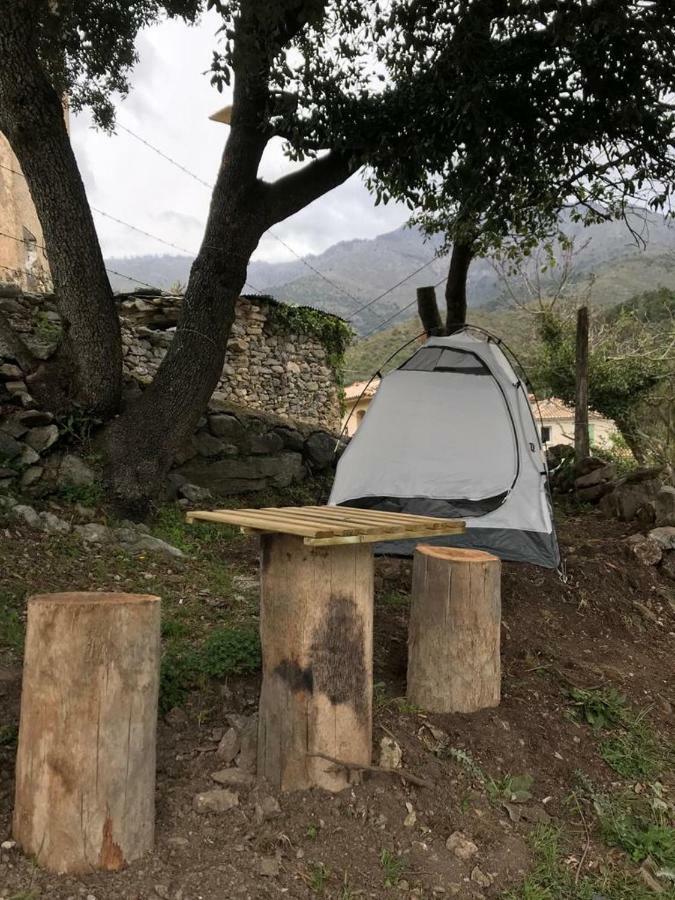 Camping L'Agrottu Au Coeur De La Corse Hotell Santa-Lucia-di-Mercurio Exteriör bild