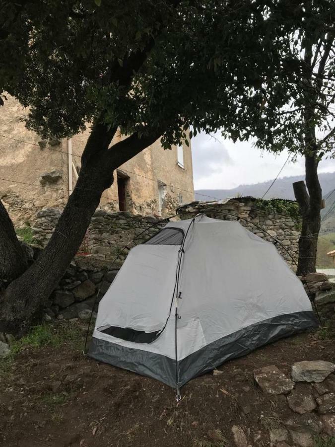 Camping L'Agrottu Au Coeur De La Corse Hotell Santa-Lucia-di-Mercurio Exteriör bild