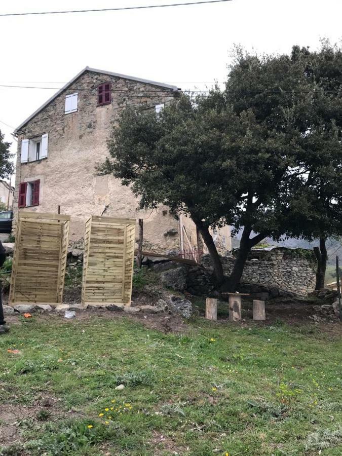 Camping L'Agrottu Au Coeur De La Corse Hotell Santa-Lucia-di-Mercurio Exteriör bild