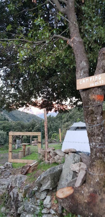 Camping L'Agrottu Au Coeur De La Corse Hotell Santa-Lucia-di-Mercurio Exteriör bild