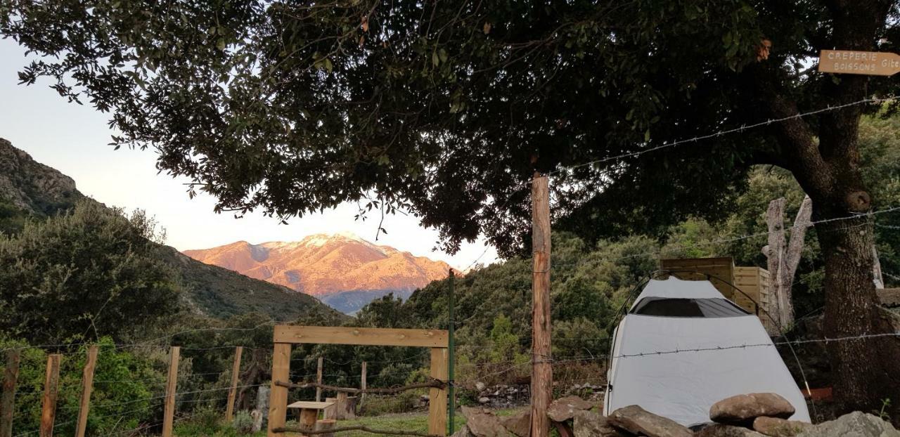 Camping L'Agrottu Au Coeur De La Corse Hotell Santa-Lucia-di-Mercurio Exteriör bild