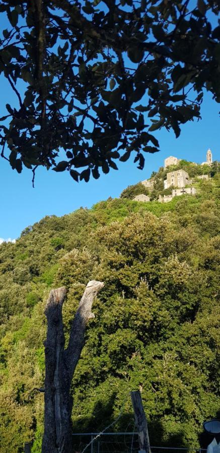 Camping L'Agrottu Au Coeur De La Corse Hotell Santa-Lucia-di-Mercurio Exteriör bild